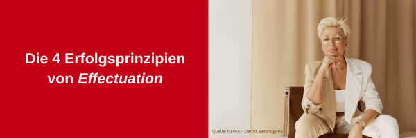 Bloggrafik_Effectuation(1)