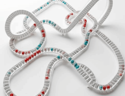 Erfolgsgeschichten neu gedacht: Warum Ergebnisse allein nicht mehr reichen